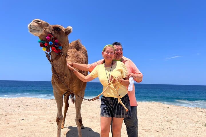 ATV and Camel Combo Tour in Los Cabos — Dunes, Beach Rides & Tequila Tasting photo 3