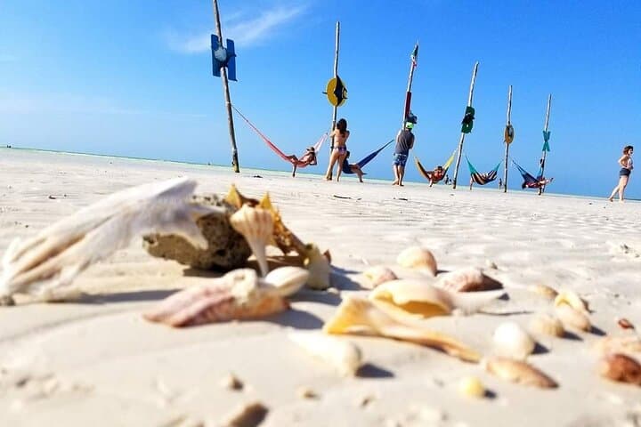 Holbox Day Trip: Yalahau Cenote, Isla Pasión & Punta Mosquito photo 3
