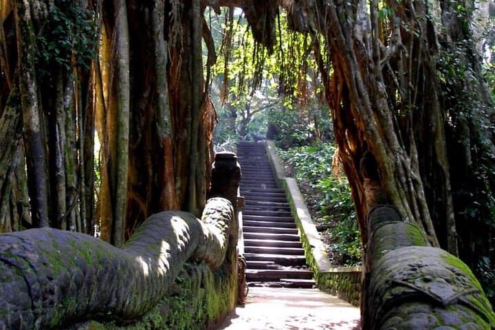 Private Ubud Tour and Quad Bike: Tegenungan Waterfall, Monkey Forest & Rice Views photo 3