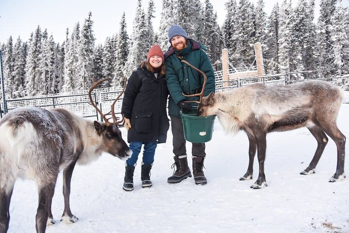 Reindeer and Snowmobile Day Trip to Borealis Basecamp — Fairbanks Arctic Adventure photo 2