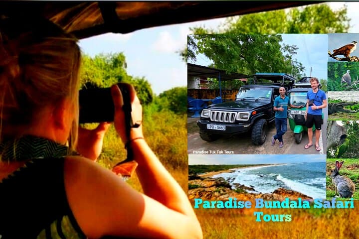 Morning Bundala Safari from Tangalle — Migratory Birds & Coastal Wildlife photo 1