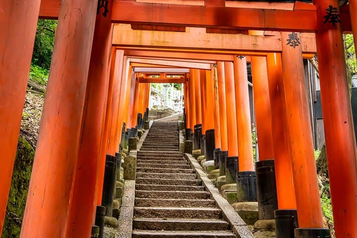 Fushimi Inari Mountain Hike: Guided Walk Through Senbon Torii and Hidden Peaks photo 3