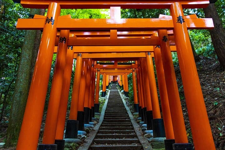 Fushimi Inari Mountain Hike: Guided Walk Through Senbon Torii and Hidden Peaks photo 6