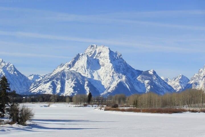 Half-Day Private Winter Wildlife Tour in Jackson Hole: See Elk, Bison & Moose photo 2