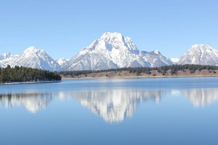 Half-Day Private Winter Wildlife Tour in Jackson Hole: See Elk, Bison & Moose photo 4
