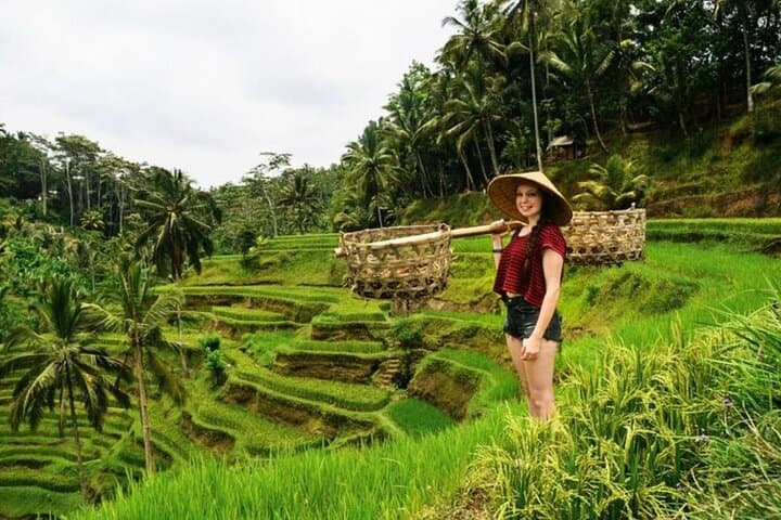 Full-Day Private Ubud Tour: Waterfalls, Rice Terraces & Monkey Forest photo 2