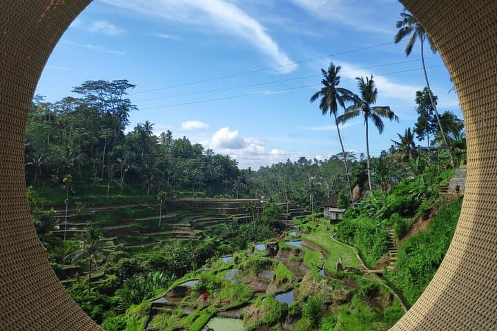 Ubud Highlights Private Day Tour: Tirta Empul, Rice Terraces & Secret Waterfall photo 2