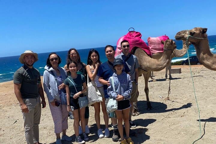 Three-Country Day: Gibraltar, Tangier & Tarifa from Seville photo 5