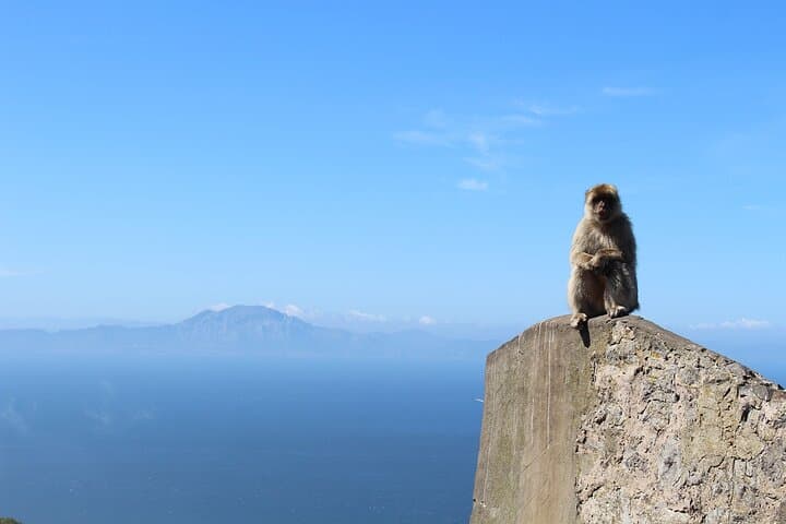 Three-Country Day: Gibraltar, Tangier & Tarifa from Seville photo 4