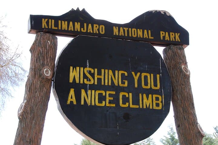 Kilimanjaro Northern Circuit 9-Day Climb: Best Route for Acclimatization and Higher Summit Success photo 6