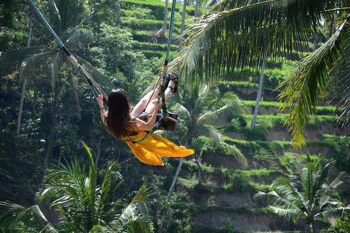 Ubud Highlights Private Day Tour: Tirta Empul, Rice Terraces & Secret Waterfall