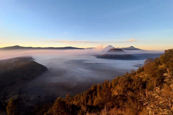 Bromo & Ijen Private Tour from Bali — Blue Fire and Sunrise Volcano Trek photo 5