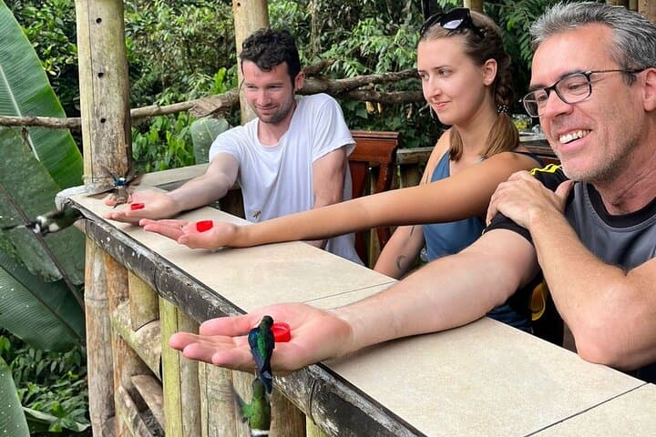 Mindo Cloud-Forest Canopy and Birding: Full-Day Tour from Quito photo 6