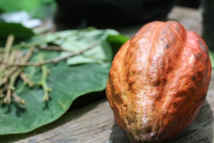 St Lucia Rum & Chocolate Tasting Tour — Journey into Flavor