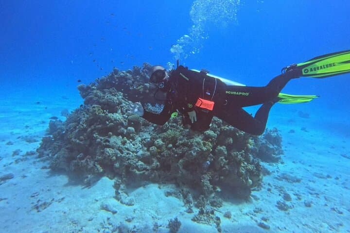 Red Sea Two-Spot Dive from Hurghada with Lunch photo 4