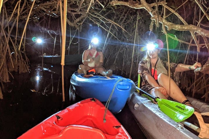 Hopkins Bioluminescent Night Kayak & Garifuna Heritage Tour