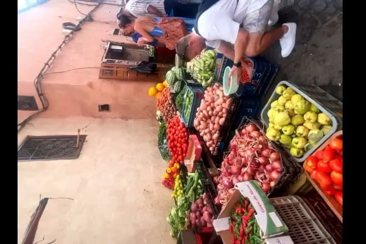 Farm-to-Table Cooking Class in Marrakech: Hands-On Tajine & Farm Tour photo 3