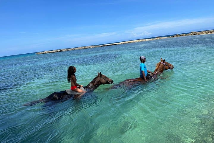 Montego Bay Horseback Ride and Swim: Beach Equestrian Adventure in Jamaica photo 4