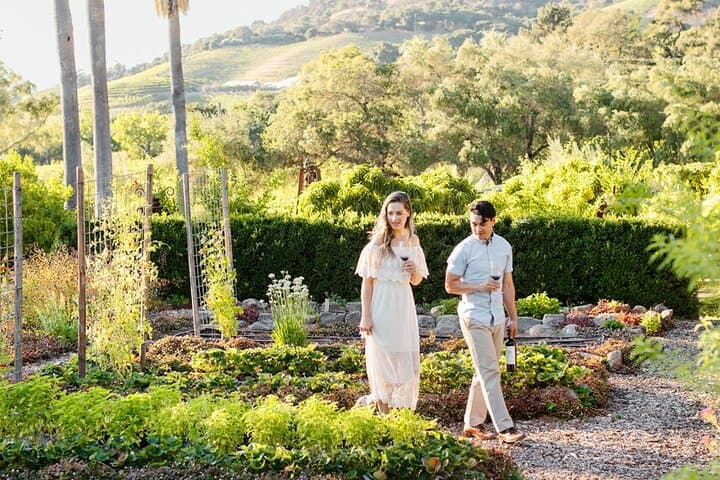 Private 6-Hour Sonoma Boutique Wine Tour by Black SUV — Plan Your Tasting Day