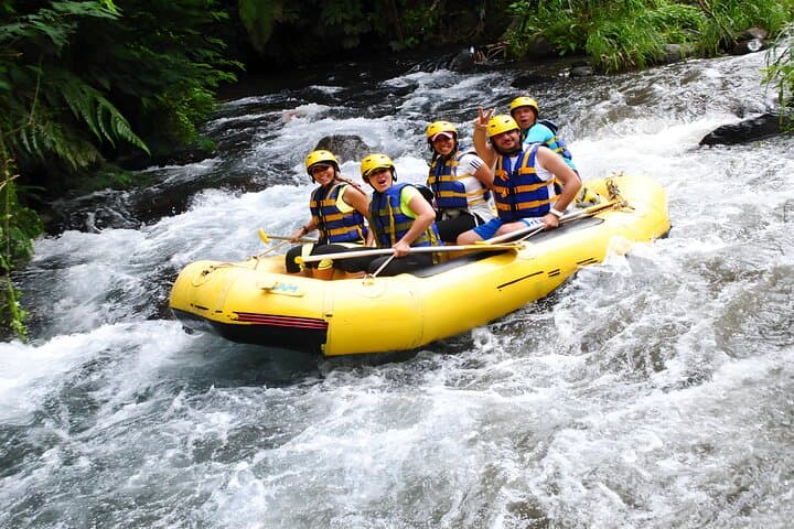 Telaga Waja Rafting and Ubud Waterfall Tour — Full-Day Bali Rafting & Culture photo 5