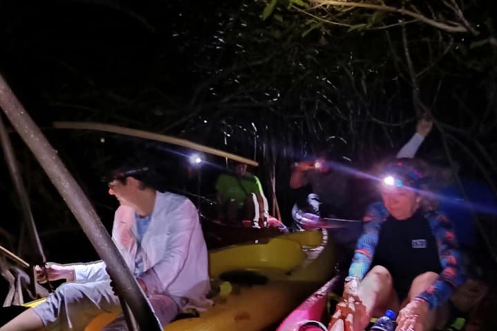 Hopkins Bioluminescent Night Kayak & Garifuna Heritage Tour photo 2