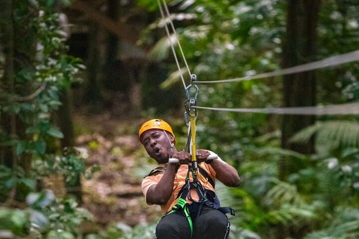 Soar Above St. Lucia: Rainforest Zip Line Canopy Adventure