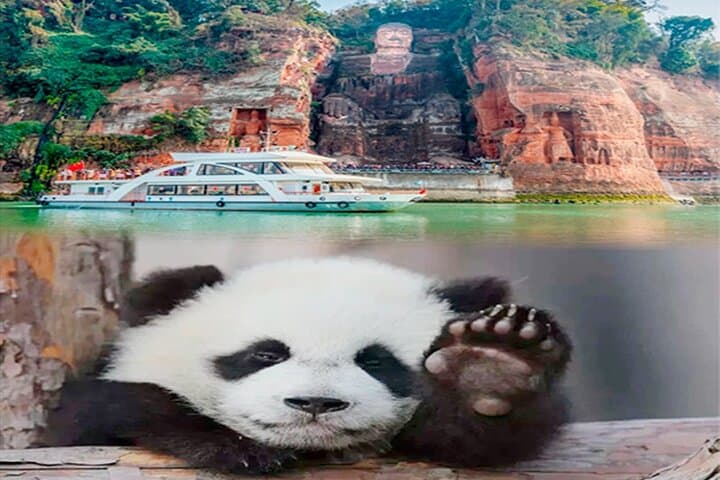 Leshan Giant Buddha & Chengdu Panda Base: Private Day Tour with Tea-House Option