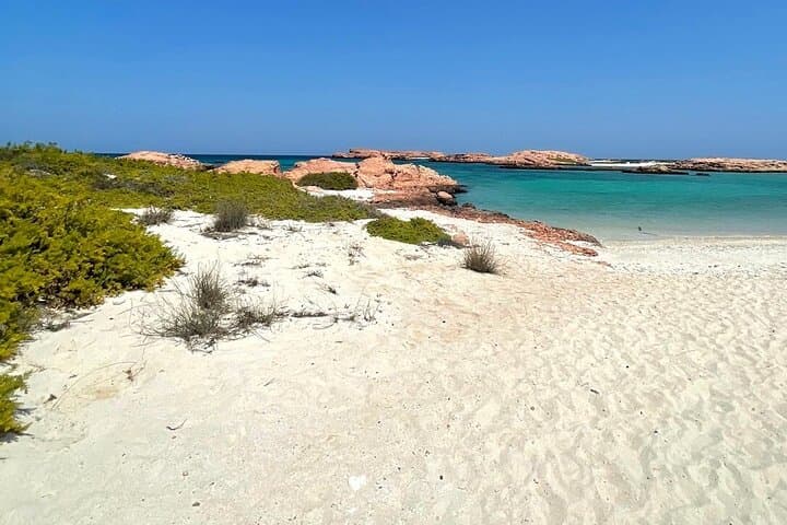 Full-Day Camping and Snorkeling at Daymaniyat Islands, Oman
