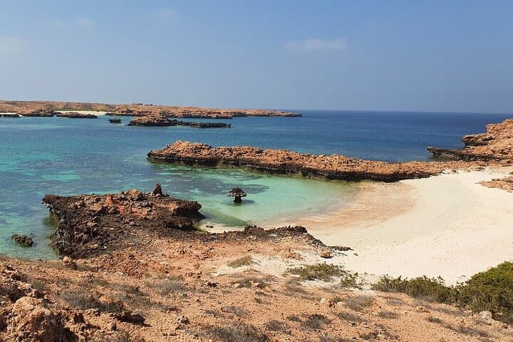 Full-Day Camping and Snorkeling at Daymaniyat Islands, Oman photo 6