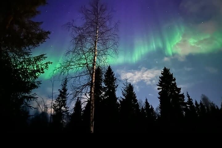 Campfire Aurora: Private Northern Lights Tour from Rovaniemi photo 3