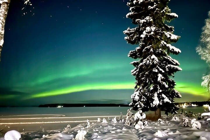 Campfire Aurora: Private Northern Lights Tour from Rovaniemi photo 6