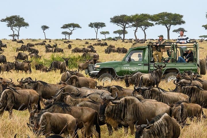 3-Day Maasai Mara Safari from Nairobi — Sopa Lodge Big Five Experience photo 5