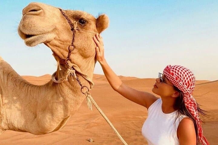 Dubai Morning Desert Safari: Private Lahbab Dune Bashing & Short Camel Ride photo 4