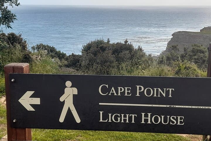 Explore Table Mountain, Penguins at Boulders Beach and Cape Point in a Full-Day Cape Town Tour photo 5