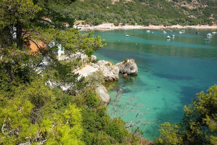 Arrabida & Setubal Private Highlights Tour — Full Day Beaches, Forts & Wineries photo 5