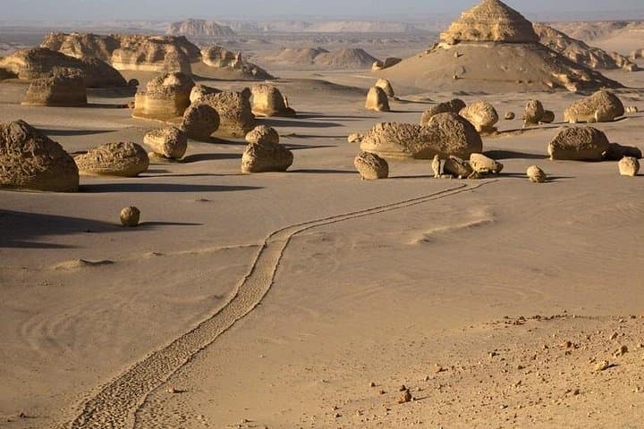Private Day Tour to Bahariya Oasis & Egypt's Black and White Deserts from Cairo photo 3