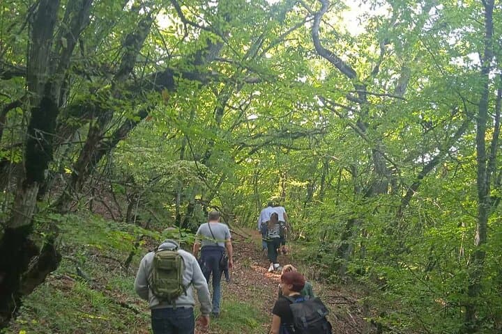 Eagle Gorge Walk: Vashlovani Birdwatching, Canyon Hike & Wine Tasting photo 3