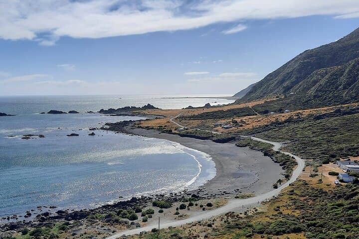 Martinborough Wine & Wild Coast Tour from Wellington — Cape Palliser, Putangirua & Seals photo 3