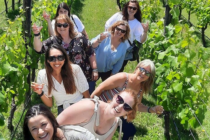 Martinborough Winery Tour from Wellington — Half-Day Cellar Door Tasting & Remutaka Summit