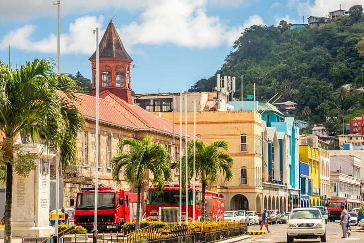 Kingstown Private Half-Day Tour: Botanic Gardens, Fort Charlotte & Cathedral Highlights photo 6