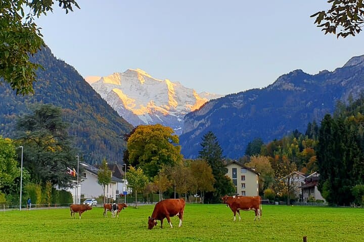Interlaken Sightseeing: Lauterbrunnen, Lake Brienz & Giessbachfalls Day Tour