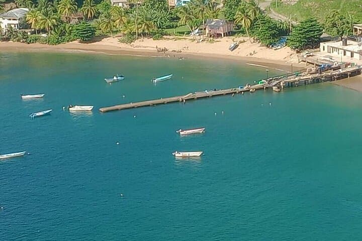 North Coast Day Trip Tobago — Rainforest Walk, Waterfall Swim & Snorkel with Stingrays