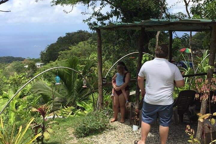 North Coast Day Trip Tobago — Rainforest Walk, Waterfall Swim & Snorkel with Stingrays photo 6