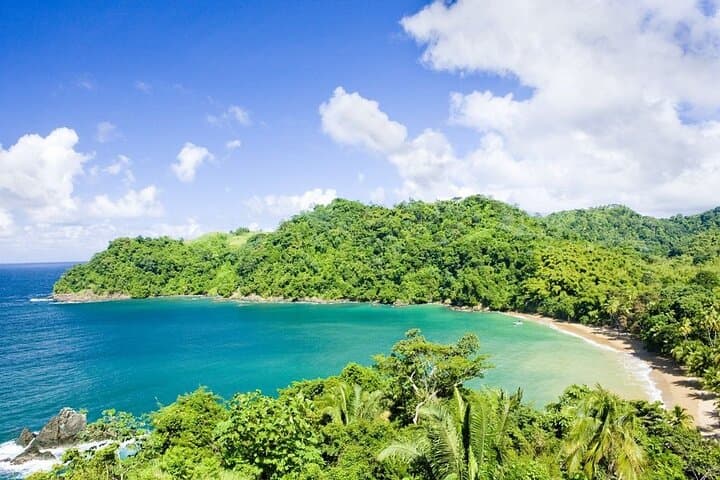 North Coast Day Trip Tobago — Rainforest Walk, Waterfall Swim & Snorkel with Stingrays photo 2