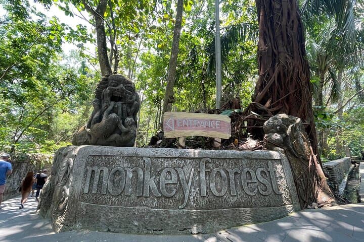 Ubud Private Tour: Monkey Forest, Tegalalang Rice Terraces, Tirta Empul & Tegenungan Waterfall photo 5
