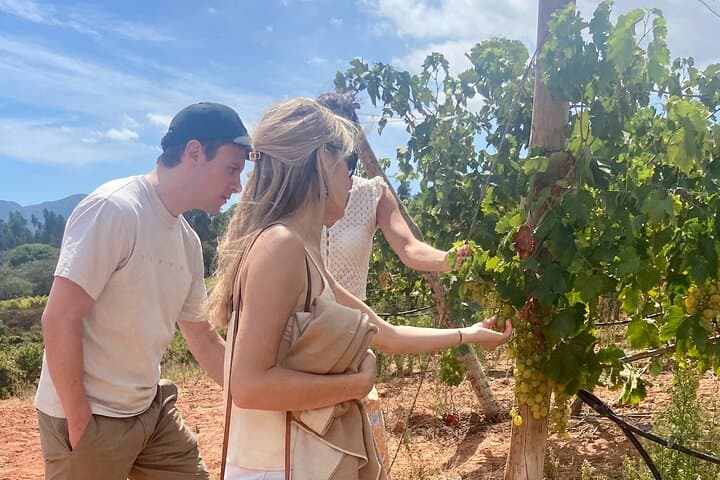 arrabida-full-day-private-wine-tour-from-lisbon photo 5