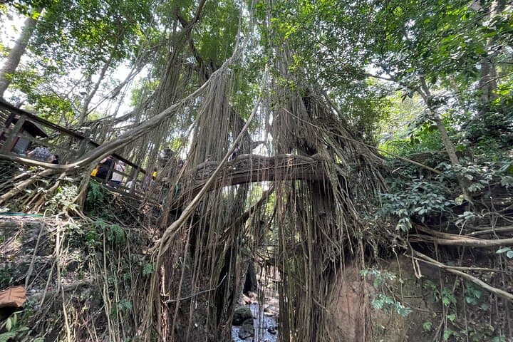 Explore Ubud Monkey Forest: Sacred Sanctuary Entrance Ticket & Guided Visit photo 4