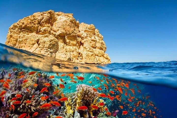 Red Sea Snorkel Day Trip from Sharm El-Sheikh: 8-Hour Boat Adventure with Lunch photo 4
