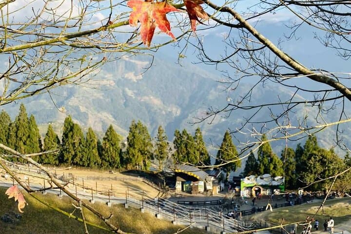 Sun Moon Lake & Cingjing Farm Day Tour from Taichung — Boat Cruise, Tea Egg & Alpine Meadows photo 4