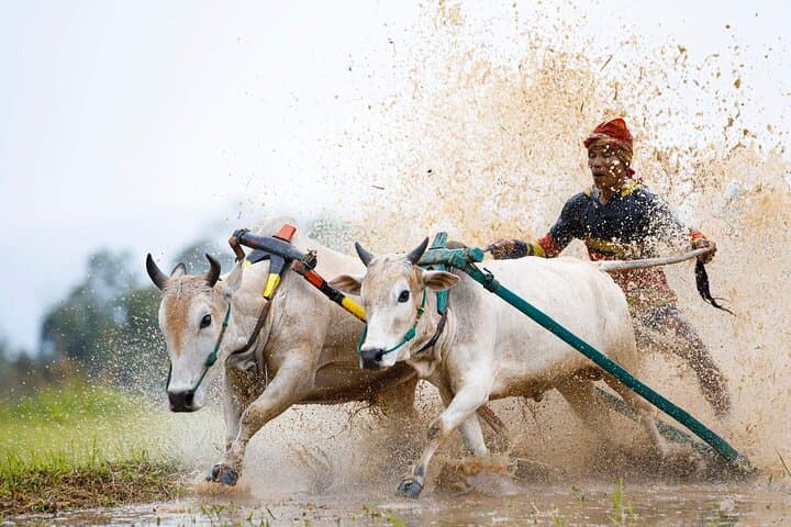 5-Day Private West Sumatra Tour — Bukittinggi, Harau Valley & Padang Islands photo 2